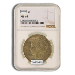 Peace Dollar - NGC MS66 (Toned)