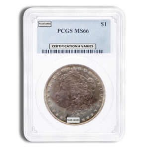 Pre-1921 Morgan Dollar - PCGS MS66 (Toned)