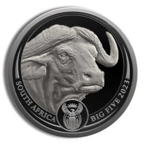 2023 1 oz Platinum South African Big 5 Buffalo Coin - Proof